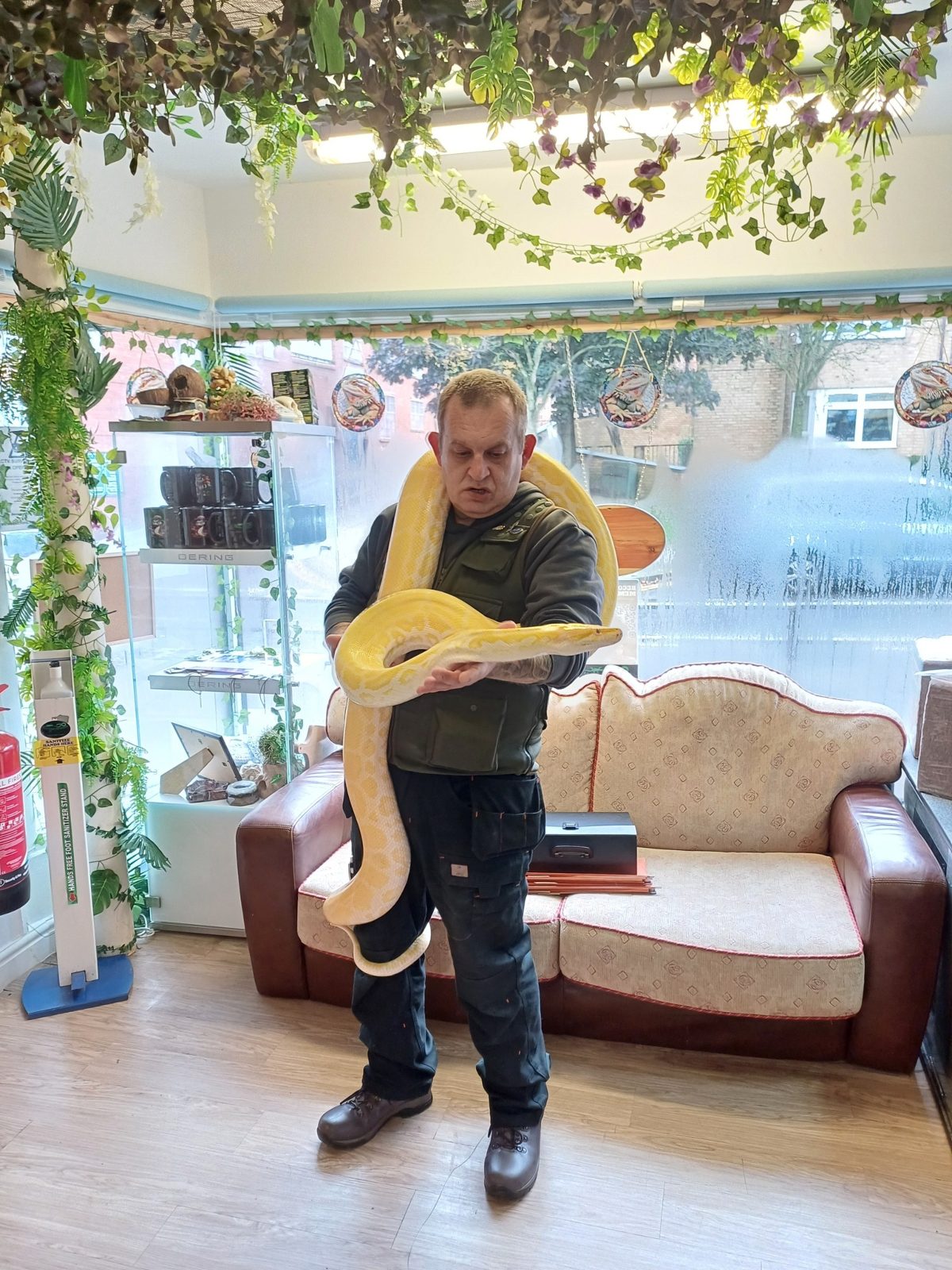 A keeper with a large snake at the rescue